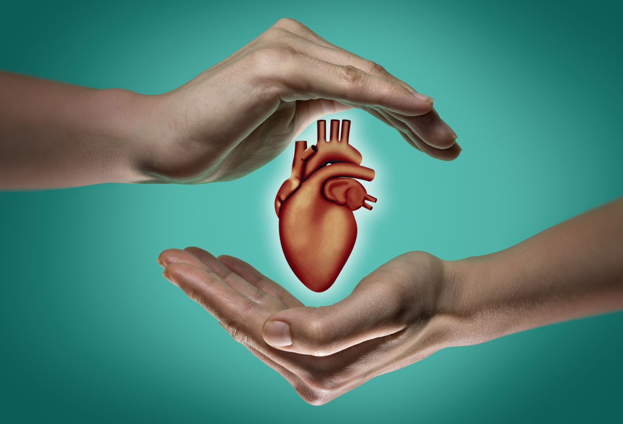 Ayurveda for a healthy heart as an alternative to bypass surgery at Pockanchery